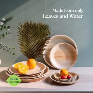 Compostable Tableware