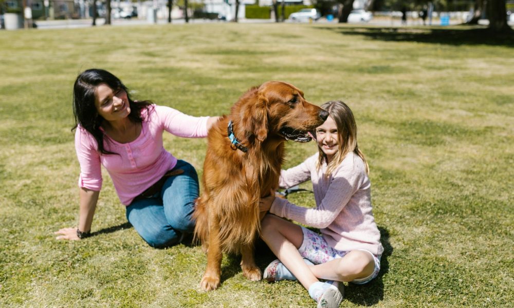 Best Dog Probiotics in 2025