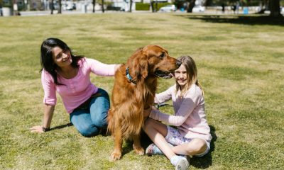 Best Dog Probiotics in 2025