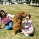 Best Dog Probiotics in 2025