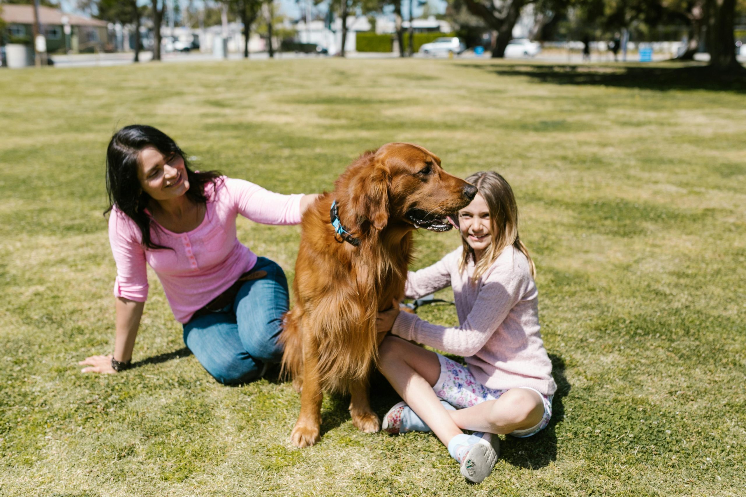 Best Dog Probiotics in 2025